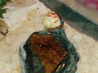 crabby.jpg