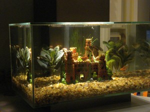 Aquarium_Fluval